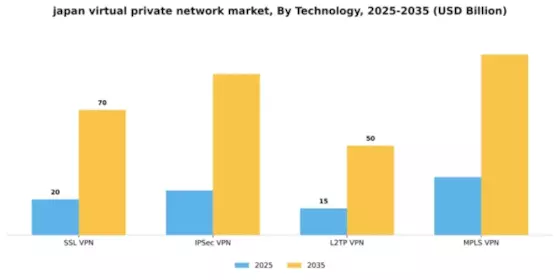 Japan Virtual Private Network Market Segment Image 4