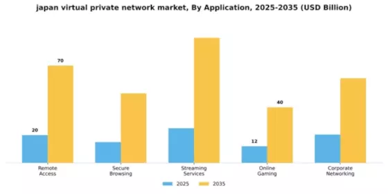 Japan Virtual Private Network Market Segment Image 0