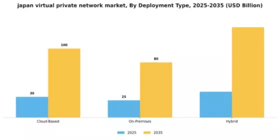 Japan Virtual Private Network Market Segment Image 1