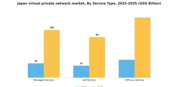 Japan Virtual Private Network Market Segment Image 3