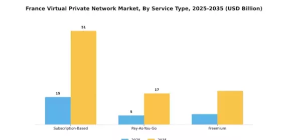 France Virtual Private Network Market Segment Image 3