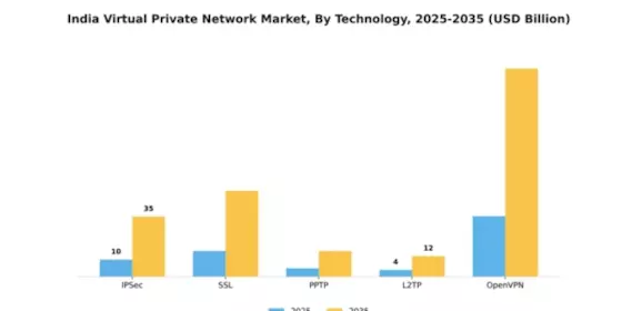 India Virtual Private Network Market Segment Image 4
