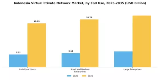 Indonesia Virtual Private Network Market Segment Image 2