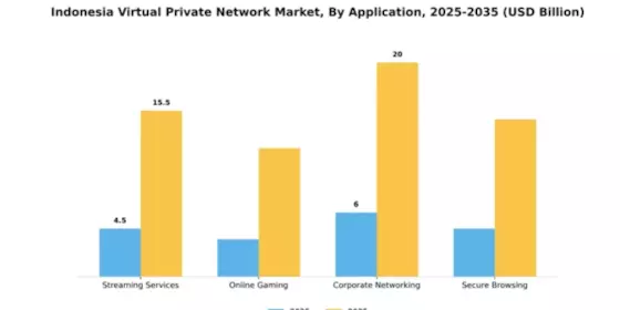 Indonesia Virtual Private Network Market Segment Image 0