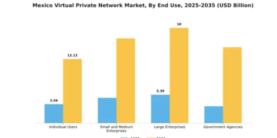 Mexico Virtual Private Network Market Segment Image 2