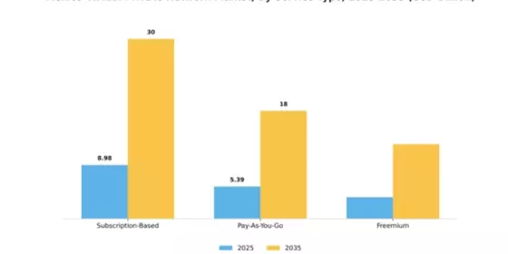 Mexico Virtual Private Network Market Segment Image 3