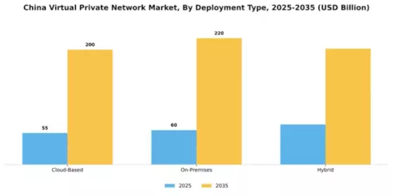 China Virtual Private Network Market Segment Image 1