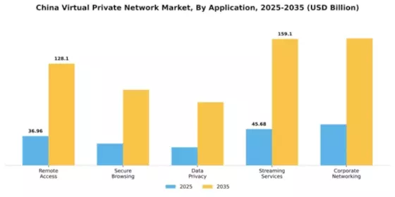 China Virtual Private Network Market Segment Image 0