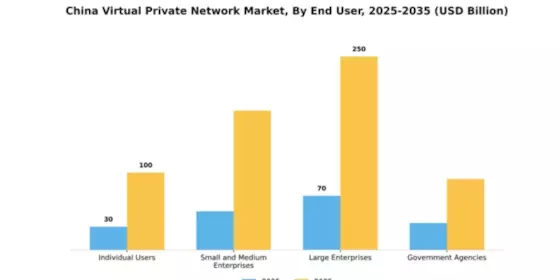 China Virtual Private Network Market Segment Image 2