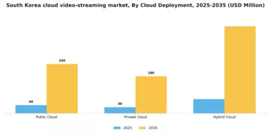 South Korea Cloud Video Streaming Market Segment Image 0