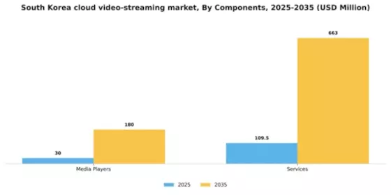 South Korea Cloud Video Streaming Market Segment Image 1