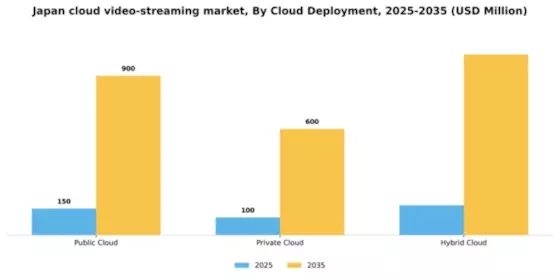 Japan Cloud Video Streaming Market Segment Image 0