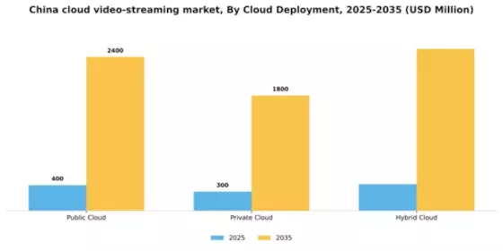 China Cloud Video Streaming Market Segment Image 0