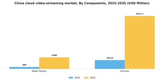 China Cloud Video Streaming Market Segment Image 1