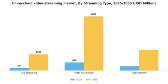 China Cloud Video Streaming Market Segment Image 2