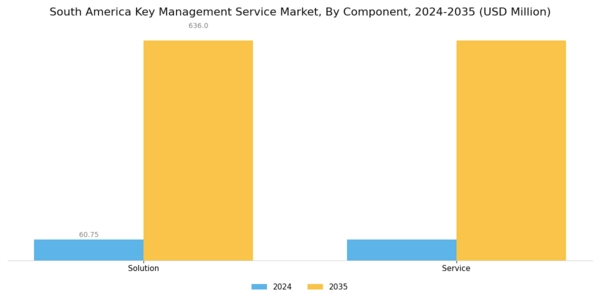 South America Key Management Service Market Segment Image 0