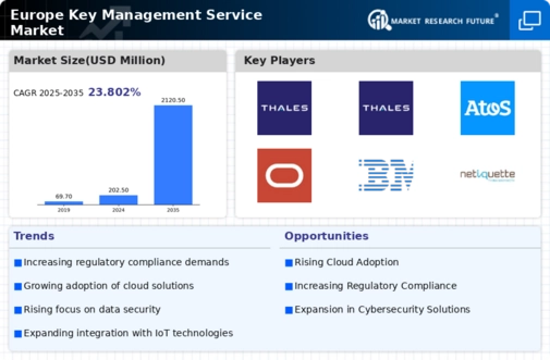Europe Key Management Service Market Infographic