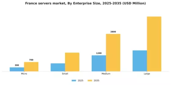 France Servers Market Segment Image 2