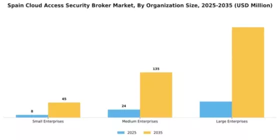 Spain Cloud Access Security Broker Market Segment Image 3