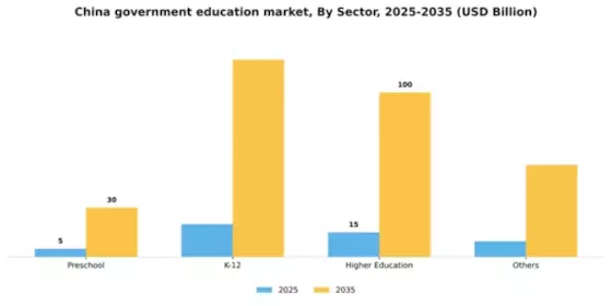 China Government Education Market Segment Image 1