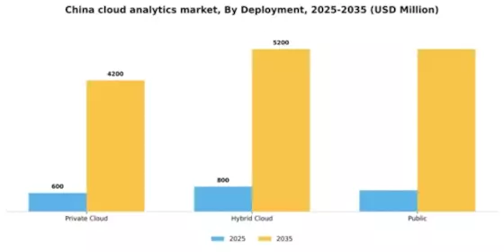 China Cloud Analytics Market Segment Image 0