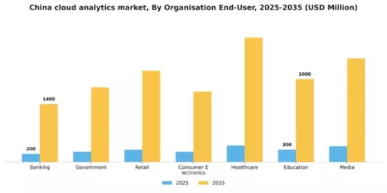 China Cloud Analytics Market Segment Image 1