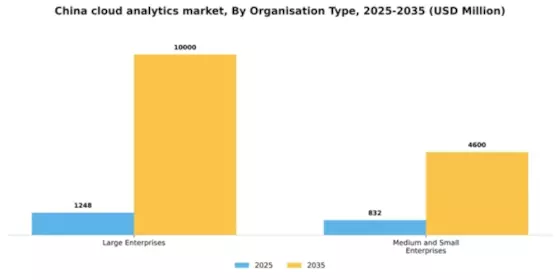 China Cloud Analytics Market Segment Image 2