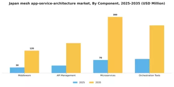 Japan Mesh App Service Architecture Market Segment Image 1