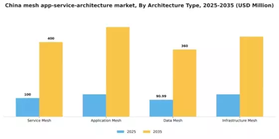 China Mesh App Service Architecture Market Segment Image 0