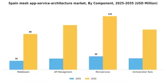 Spain Mesh App Service Architecture Market Segment Image 1