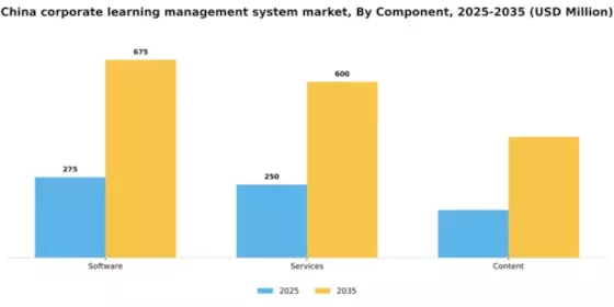 China Corporate Learning Management System Market Segment Image 0