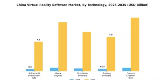 China Virtual Reality Software Market Segment Image 3