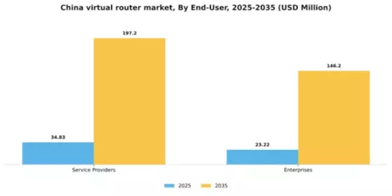 China Virtual Router Market Segment Image 1
