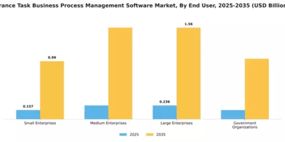 France Task Business Process Management Software Market Segment Image 2