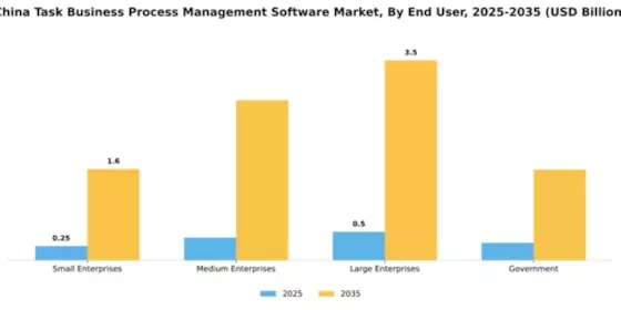 China Task Business Process Management Software Market Segment Image 2