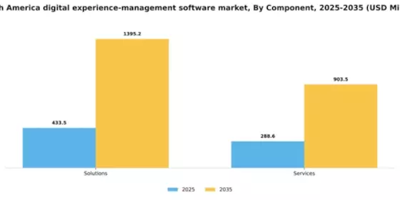 South America Digital Experience Management Software Market Segment Image 0