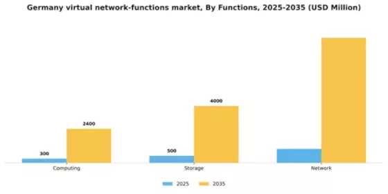 Germany Virtual Network Functions Market Segment Image 3