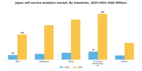 Japan Self Service Analytics Market Segment Image 2