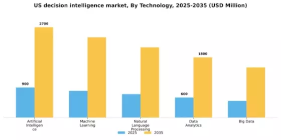 US Decision Intelligence Market Segment Image 3