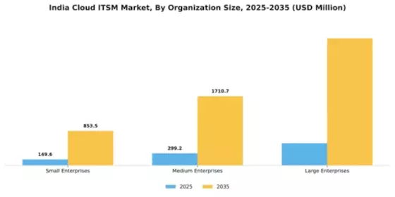 India Cloud Itsm Market Segment Image 2