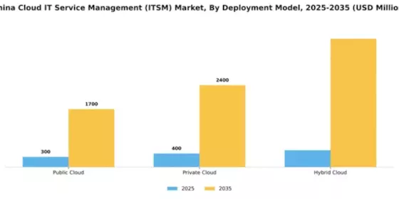 China Cloud Itsm Market Segment Image 0