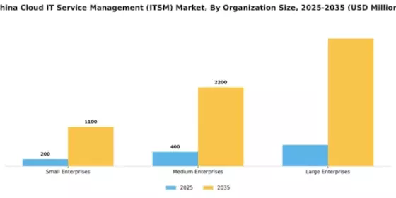 China Cloud Itsm Market Segment Image 2