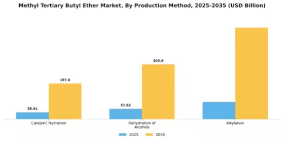 Methyl Tertiary Butyl Ether Market Segment Image 4