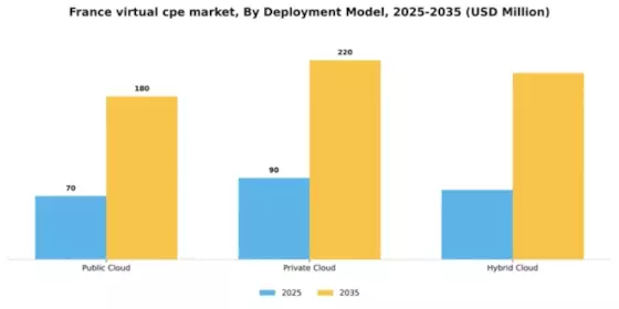 France Virtual cpe Market Segment Image 0