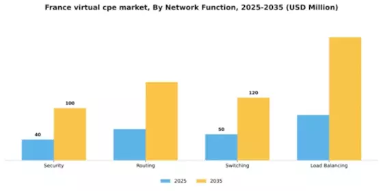 France Virtual cpe Market Segment Image 2