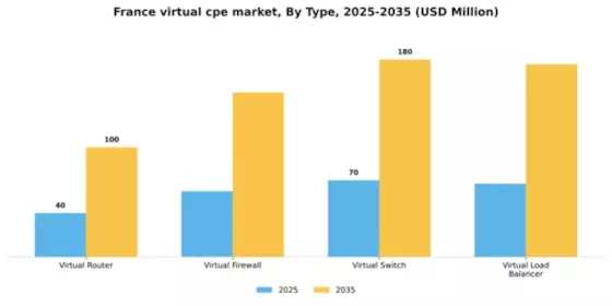 France Virtual cpe Market Segment Image 3