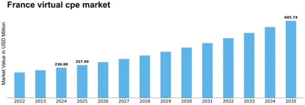 France Virtual cpe Market Size