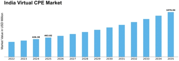 India Virtual cpe Market Size