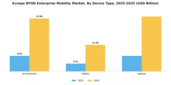 Europe Byod Enterprise Mobility Market Segment Image 2