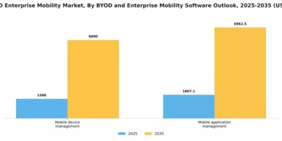 India Byod Enterprise Mobility Market Segment Image 4